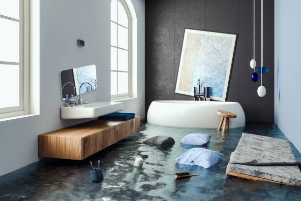 Best Professional water damage repair  in Marissa, IL