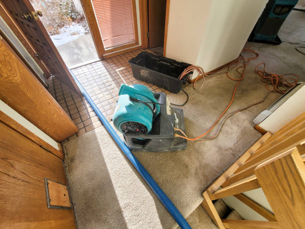 Best Commercial water damage restoration  in Marissa, IL