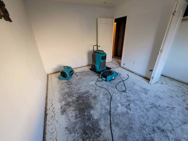Best Water damage restoration experts  in Marissa, IL