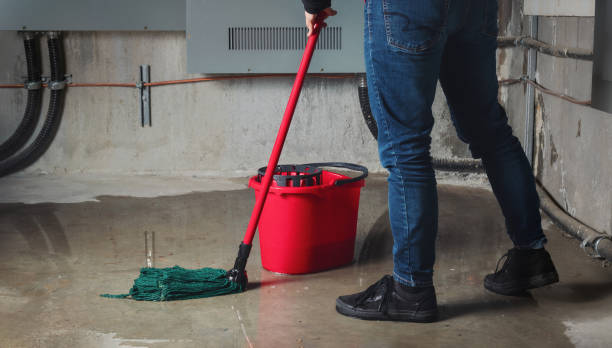 Best Sewage cleanup and water damage restoration  in Marissa, IL