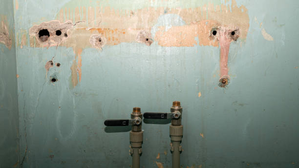 Best Water damage repair service  in Marissa, IL