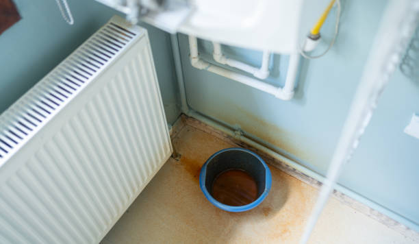 Best Flooded house restoration  in Marissa, IL