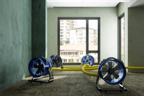 Best Emergency water damage restoration  in Marissa, IL