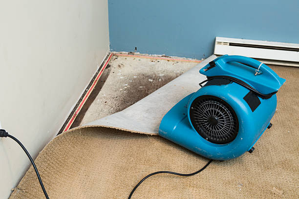  Marissa, IL Water damage restoration Pros