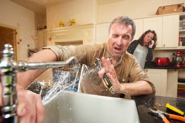 Best Water damage restoration near me  in Marissa, IL